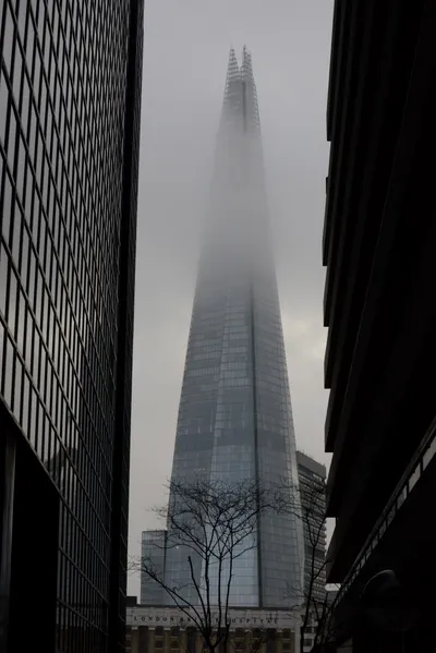 DSC_5906 (Large).JPG